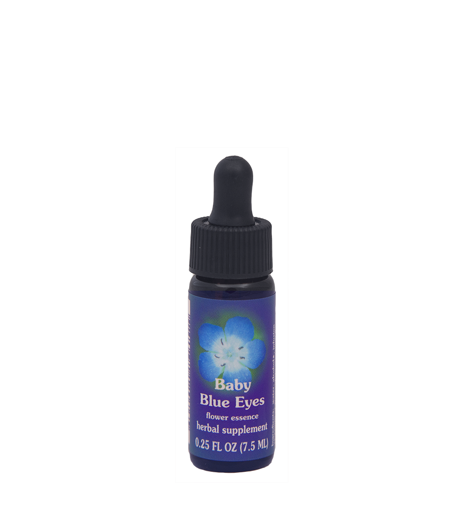 Baby Blue Eyes | Flower Essence Services